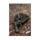 Cutie Momeala Korum - Divided Bait Tub 3pt/1.7l